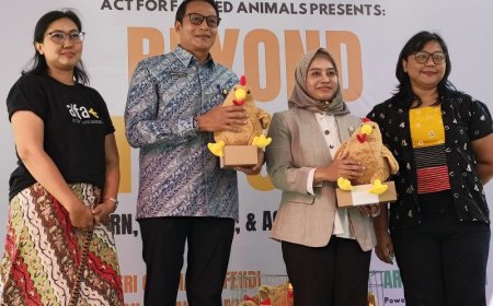 Biar Ayam Nggak Stres, Kementan Ajak Peternak Beralih ke Kandang Bebas Sangkar
