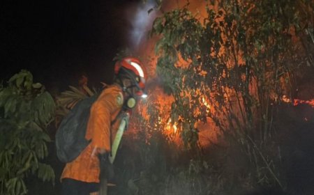 BPBD Poso Laporkan 427 Hektare Lahan Terdampak Karhutla