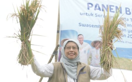 KPK Panggil Kepala Bulog Jateng dan 37 Saksi Kasus Bansos Beras