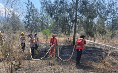 Satbrimob Lakukan Pemadaman di Sejumlah Titik Karhutla