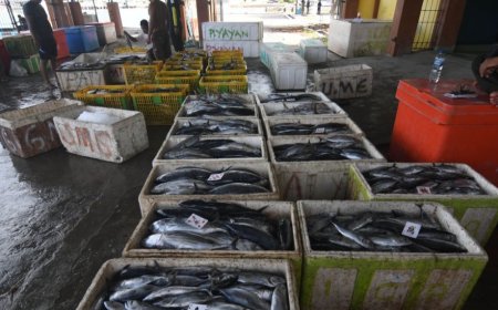 Sulteng Gelontorkan Rp33,73 M untuk Genjot Produksi Perikanan