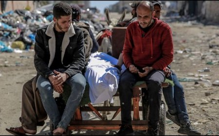 Ibu Hamil di Gaza  Tewas Ditembak Tentara Israel