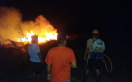 Polri-TNI-Damkar dan 250 Warga Padamkan Karhutla di Desa Pasir Putih