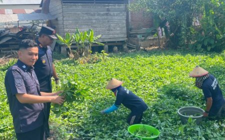 Rutan Poso Panen Kangkung untuk Masyarakat