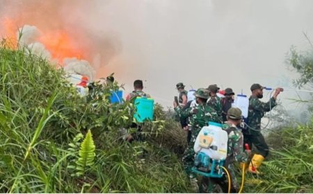 Dandim 1307 Poso Pimpin Pemadaman Karhutla di Pendolo