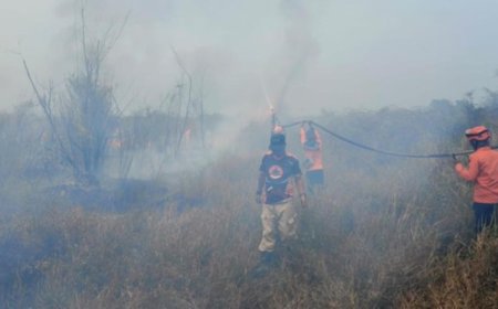 Terjebak Asap Pekat Karhutla Poso, Dua Petugas Damkar Sempat Pingsan