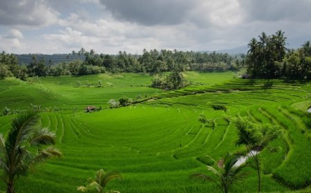 Lampaui Target, LP2B Capai 87,63% di Momen Peringatan 66 Tahun UUPA