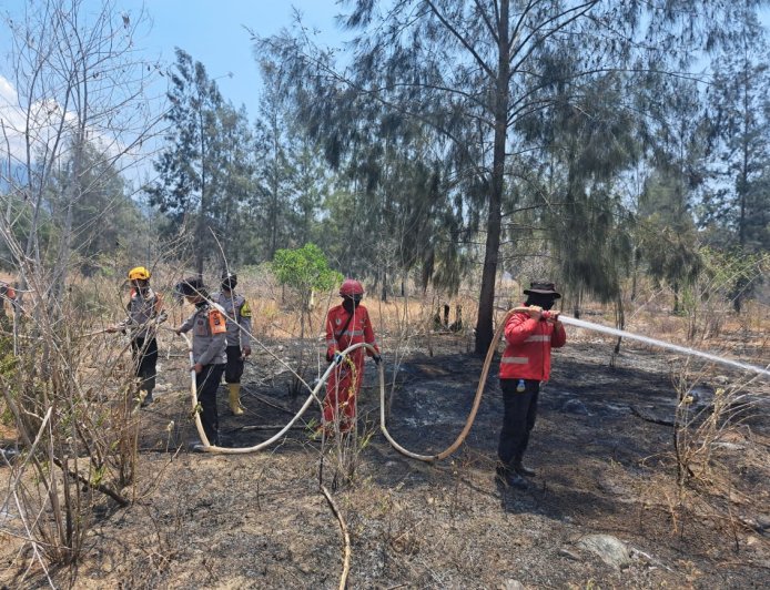 Satbrimob Lakukan Pemadaman di Sejumlah Titik Karhutla