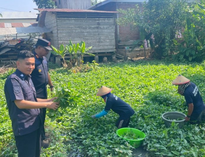 Rutan Poso Panen Kangkung untuk Masyarakat