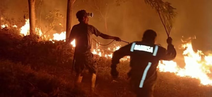 Kebakaran Hanguskan 8 Hektare Lahan, Api Hanya 50 Meter dari Rumah Warga