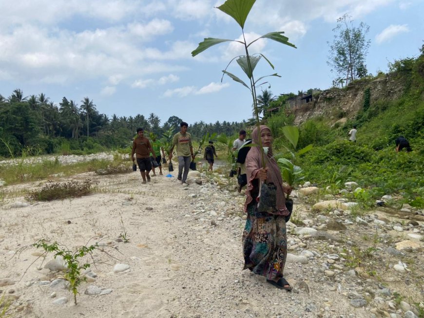 Tanam 100 Aren dan 250 Mangrove, Warga Tanalanto Perkuat Mitigasi