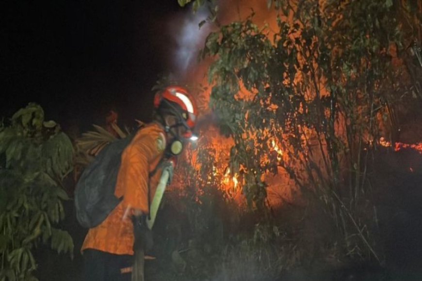 BPBD Poso Laporkan 427 Hektare Lahan Terdampak Karhutla
