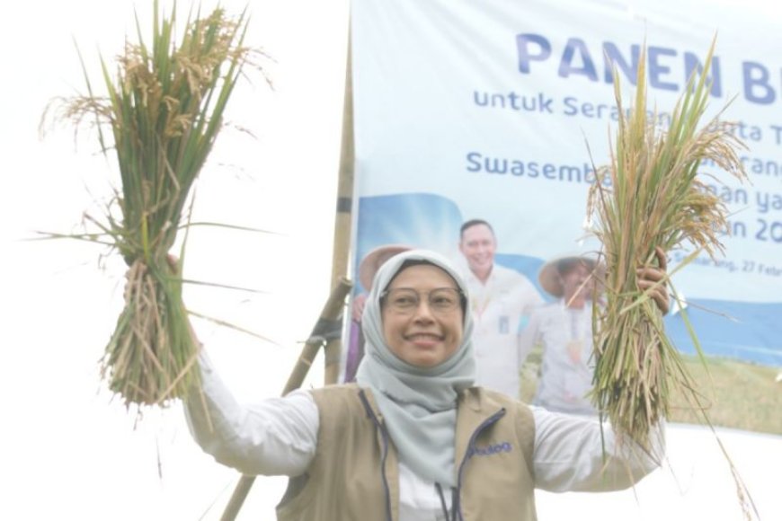 KPK Panggil Kepala Bulog Jateng dan 37 Saksi Kasus Bansos Beras