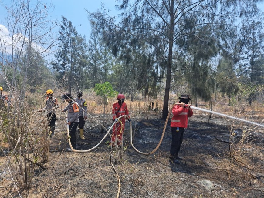 Satbrimob Lakukan Pemadaman di Sejumlah Titik Karhutla