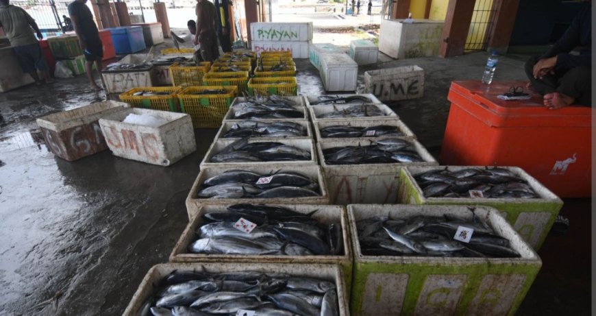 Sulteng Gelontorkan Rp33,73 M untuk Genjot Produksi Perikanan