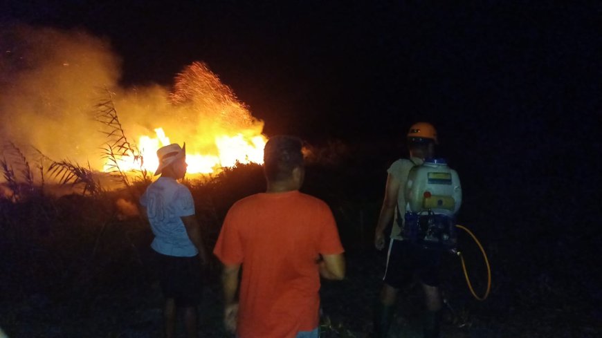 Polri-TNI-Damkar dan 250 Warga Padamkan Karhutla di Desa Pasir Putih