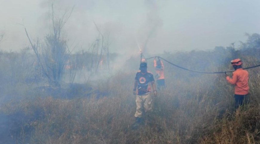 Terjebak Asap Pekat Karhutla Poso, Dua Petugas Damkar Sempat Pingsan