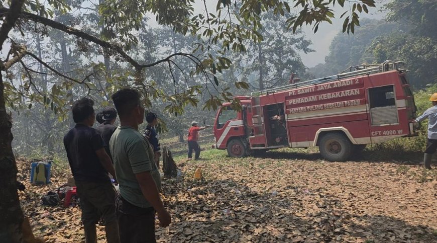 Karhutlah Kembali Terjadi di Gunung Tinjoli