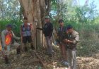 Kantah Poso Laksanakan Pengukuran Aset Pemda dan Ruas Jalan Gimpu- Gintu