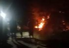 1 Hektare Hutan Poso Terbakar, Tiga Pemuda Diduga Terlibat