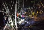 BPBD Sulteng Tangani 0,5 Hektare Area Karhutla di Wuasa Poso