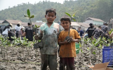 PT IMIP Padukan Pelestarian Mangrove dan Kemandirian Ekonomi Warga