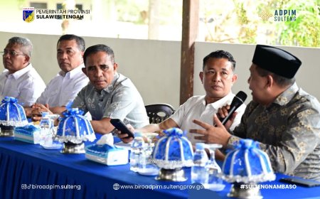 Gubernur Bidik Potensi Pajak Industri di Morowali dan Morowali Utara