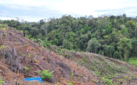 UU Pengaturan Reforma Agraria Buka Jalan Pemulihan Hak Masyarakat dalam Konflik Pertanahan