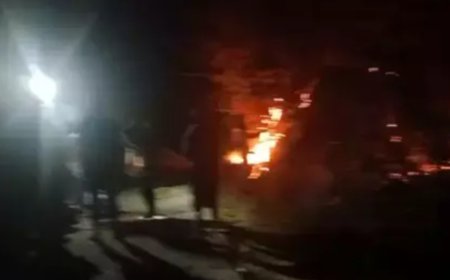1 Hektare Hutan Poso Terbakar, Tiga Pemuda Diduga Terlibat