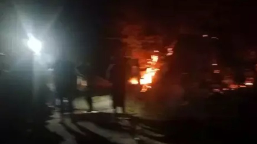 1 Hektare Hutan Poso Terbakar, Tiga Pemuda Diduga Terlibat