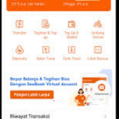 Seabank-Apa yang harus dilakukan jika transfer gagal saldo berkurang